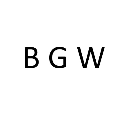 CÔNG TY TNHH BGW VIỆT NAM